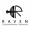 Raven Concealment Systems
